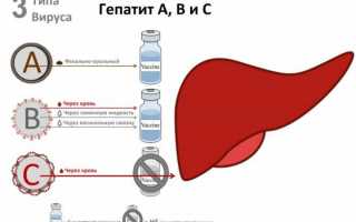 Синдром красного глаза у детей, или что делать, если у ребёнка покраснели глаза?