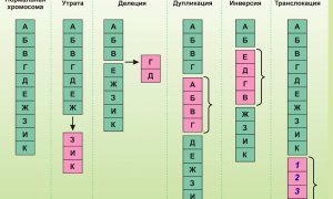 Передается ли косоглазие по наследству от родителей и бабушек?