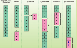 Передается ли косоглазие по наследству от родителей и бабушек?