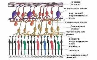 Отслоение сетчатки глаза – симптомы и признаки