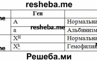 Решение задач по генетике и молекулярной биологии (стр. 6 )