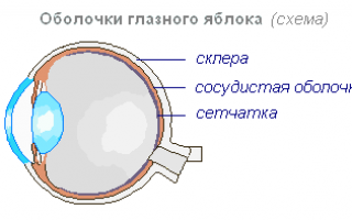 Аномалии развития сетчатки глаза (колобома, дисплазия, гемангиома)