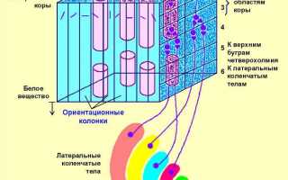 Коронавирус может вызвать серьезные осложнения на органы зрения