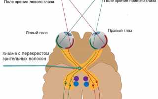 Исследование вызванных потенциалов головного мозга