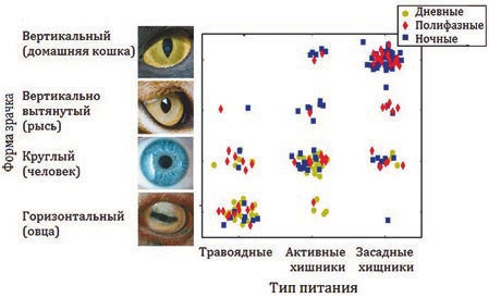 Рис. 1. Форма зрачков соответствует времени суточной активности и способу питания (Banks et al., 2015)